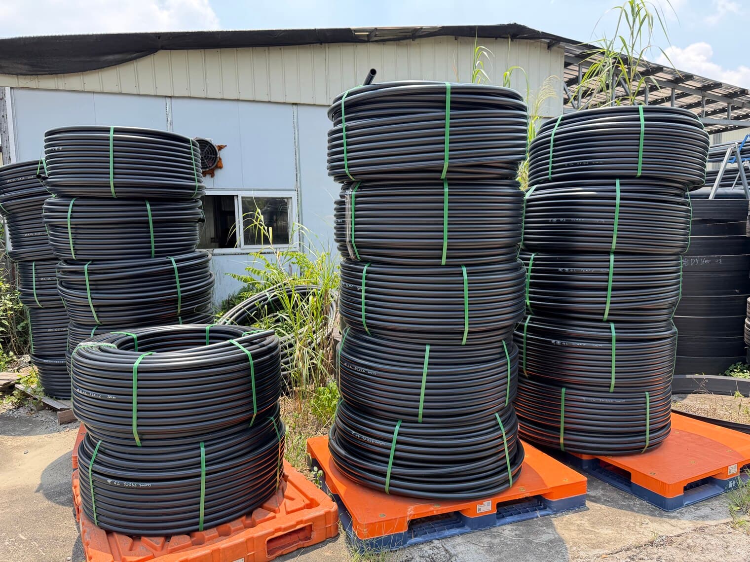 Coils of small-diameter PE pipe strapped onto pallets, ready to load